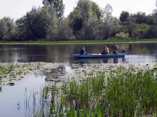 Šamac, mobilni tim na suzbijanju komaraca