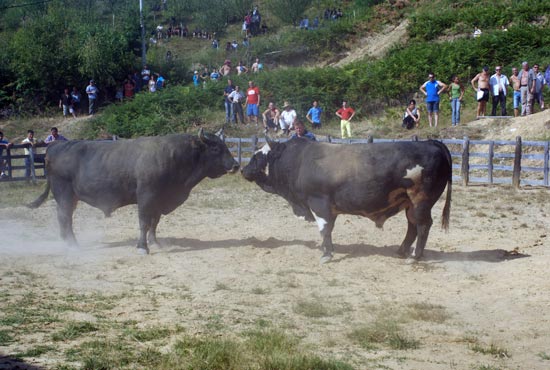 Oštra Luka - 240. "Grmečka korida"