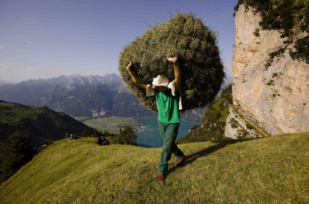 Švajcarski farmer Kari Gisler nosi plast sijena koje pravi od divljeg rastinja na strmim padinama planine Rofajen u švajcarskom selu Fluelen, švajcarskom selu Fluelen, nekih 75 km južno od Ciriha...
