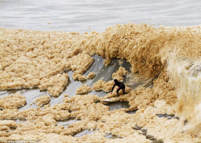 N.Zeland - surfanje nakon poplava
