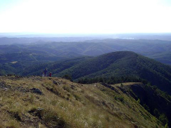 Petak, 19. oktobar - Mira Karanović, Gostilj - Ozren...