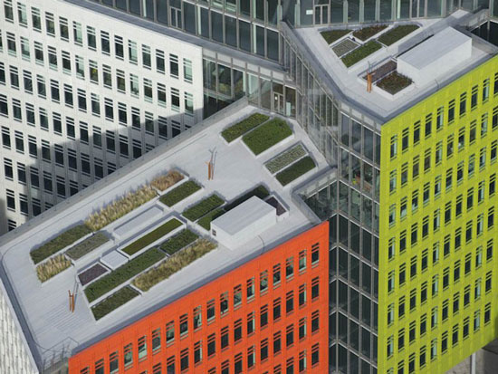 Vrtovi na krovovima londonskih zgrada
