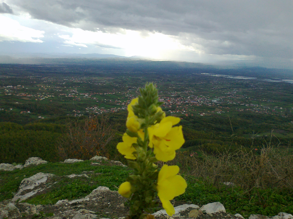 Ponedjeljak, 5. novembar - Mirko Bilić, Prijedor