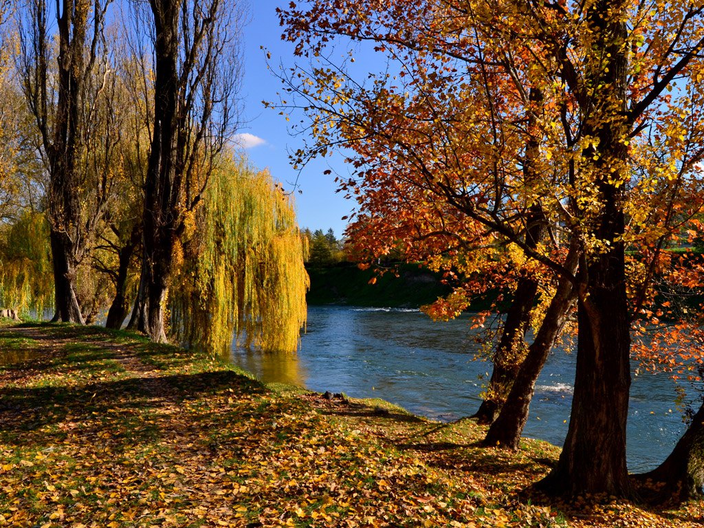 srijeda 14. novembar 2012. godine - Nenad Nikolić, Banjaluka