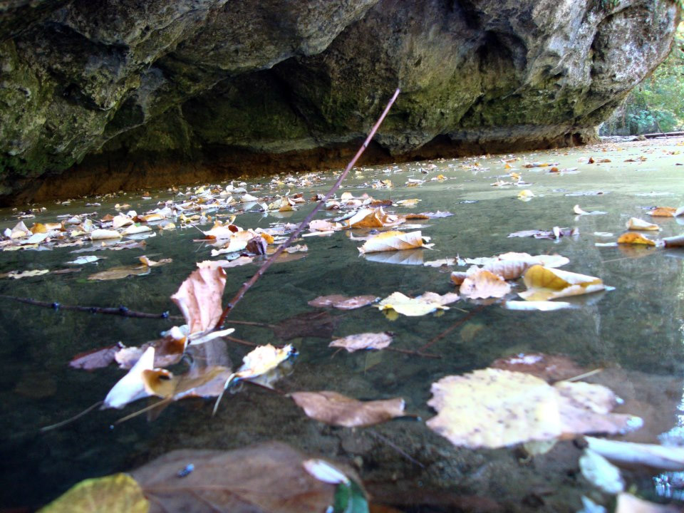 utorak, 27. novembar - Slavica Stojanović, Banjaluka