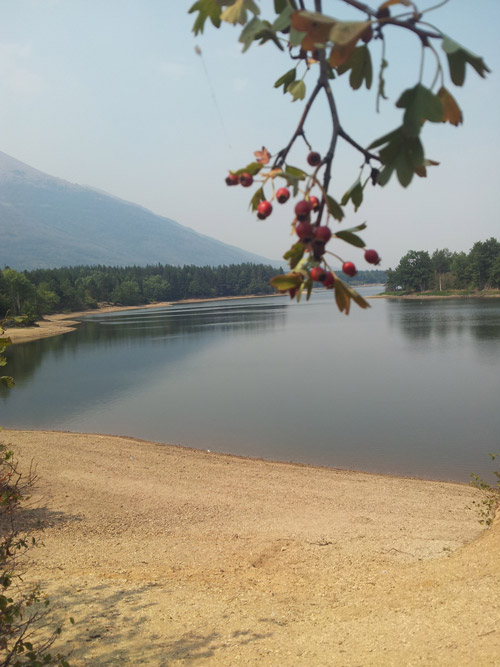 ponedjeljak 3. decembar - Boro Rajković,
Јezero "Alagovac" - Nevesinje