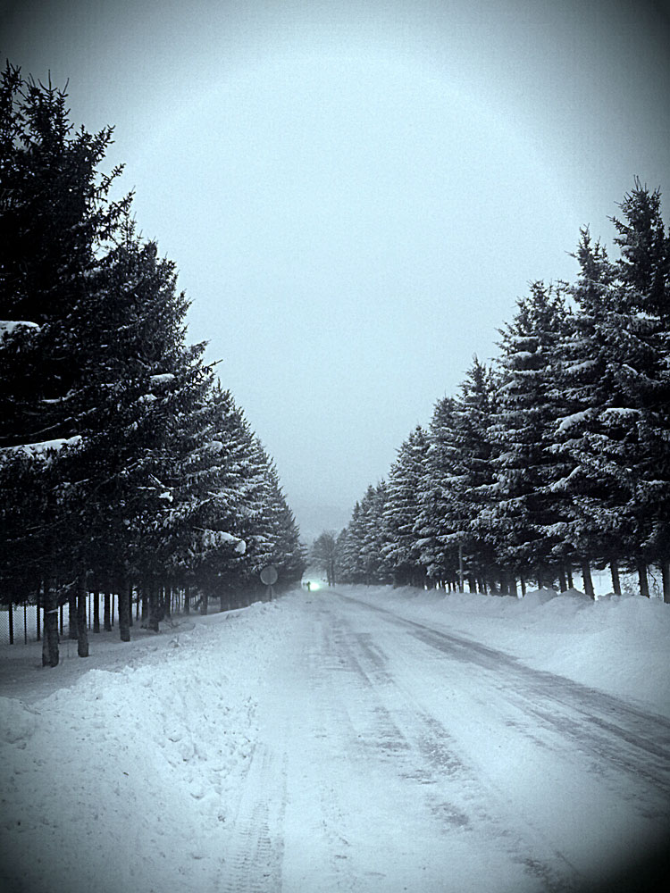 Četvrtak, 13. decembar - Boro Rajković, Nevesinje...