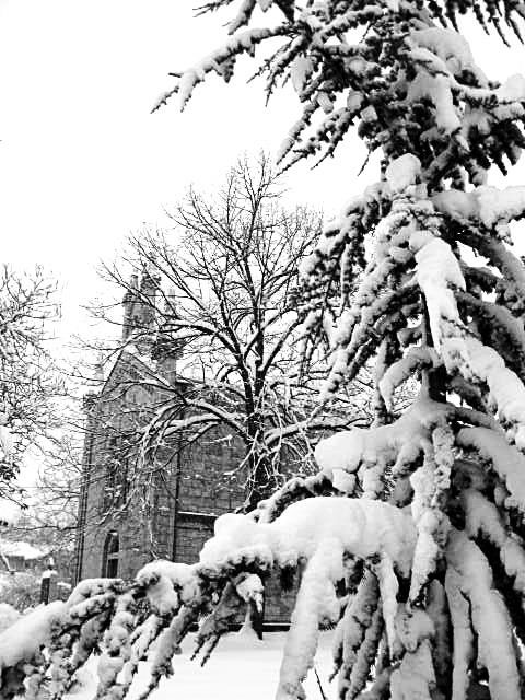 srijeda, 19.decembar - Tijana Trklja, Bileća