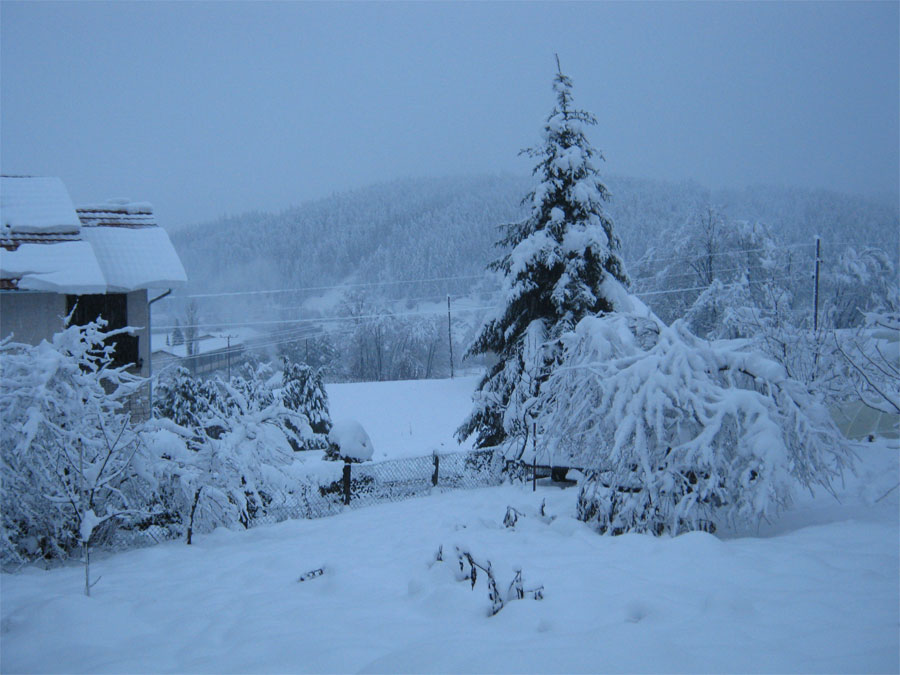 petak, 21. decembar, Zagorka Trivić, Јošavka