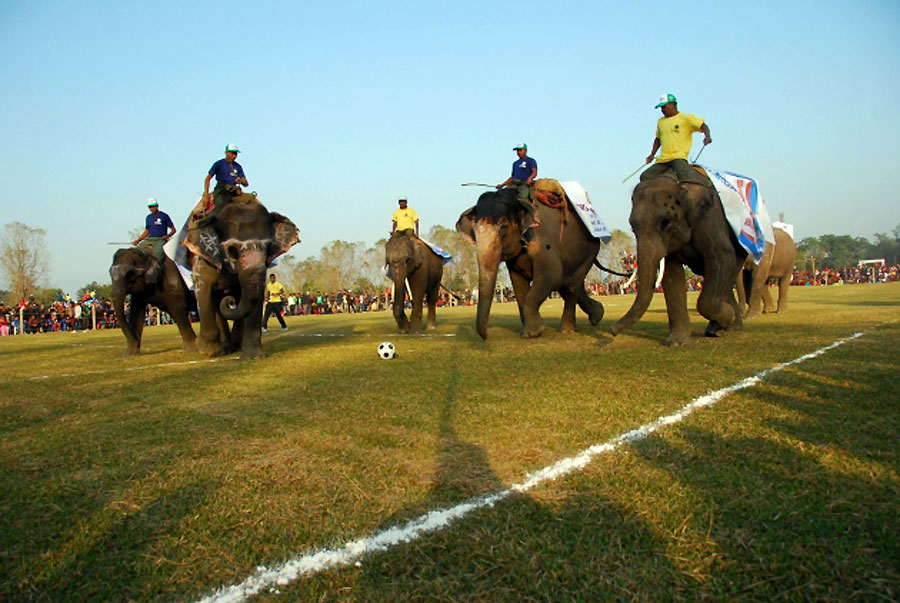 Nepal: Trodnevni festival na kojem su se slonovi takmičili u nekoliko sportskih disciplina...