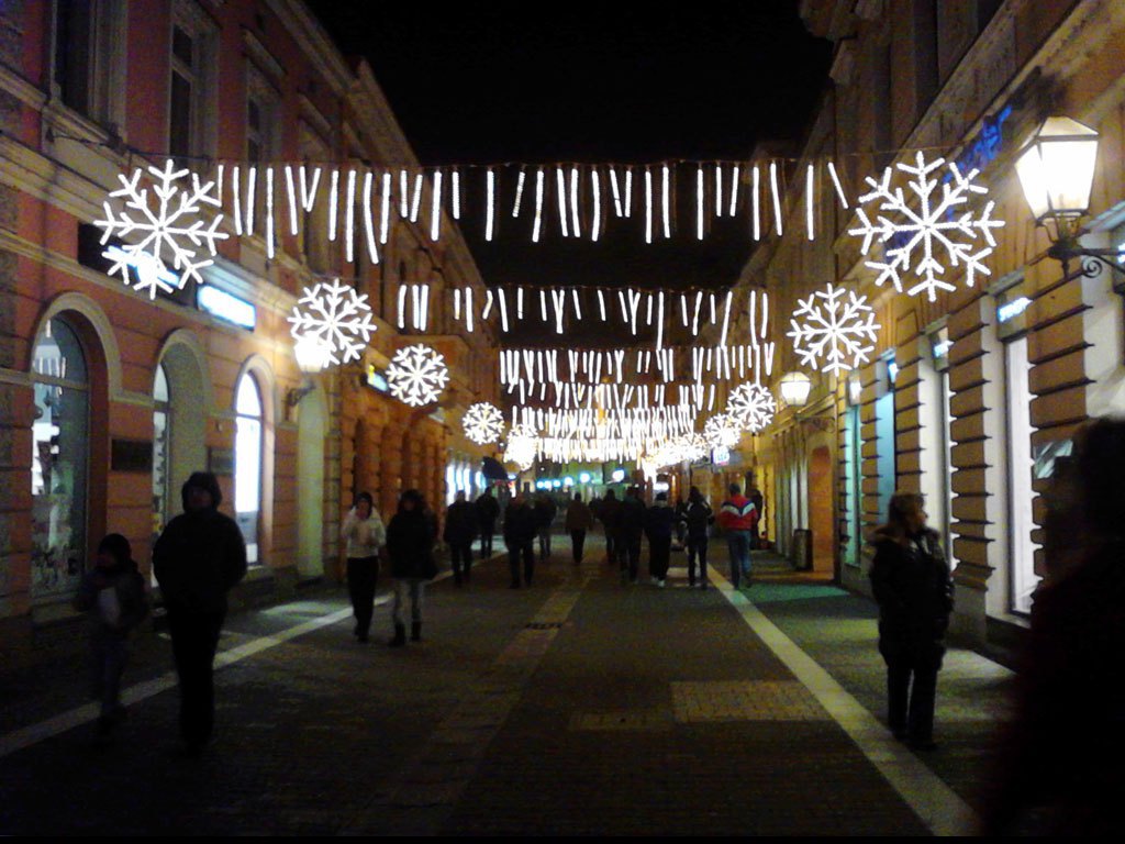 srijeda, 2. januar 2013. godine / 
Slobodan Petković, Banjaluka