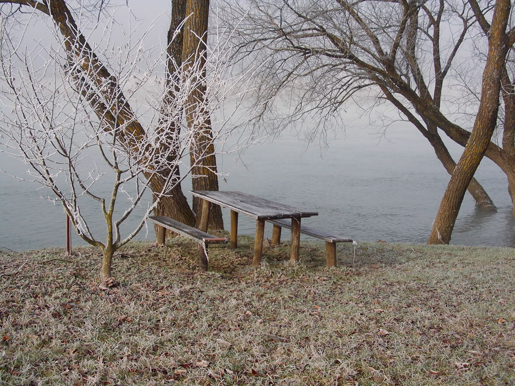 Petak, 04. januar 2013. god. - Gorana Babić, Kostajnica - Una...