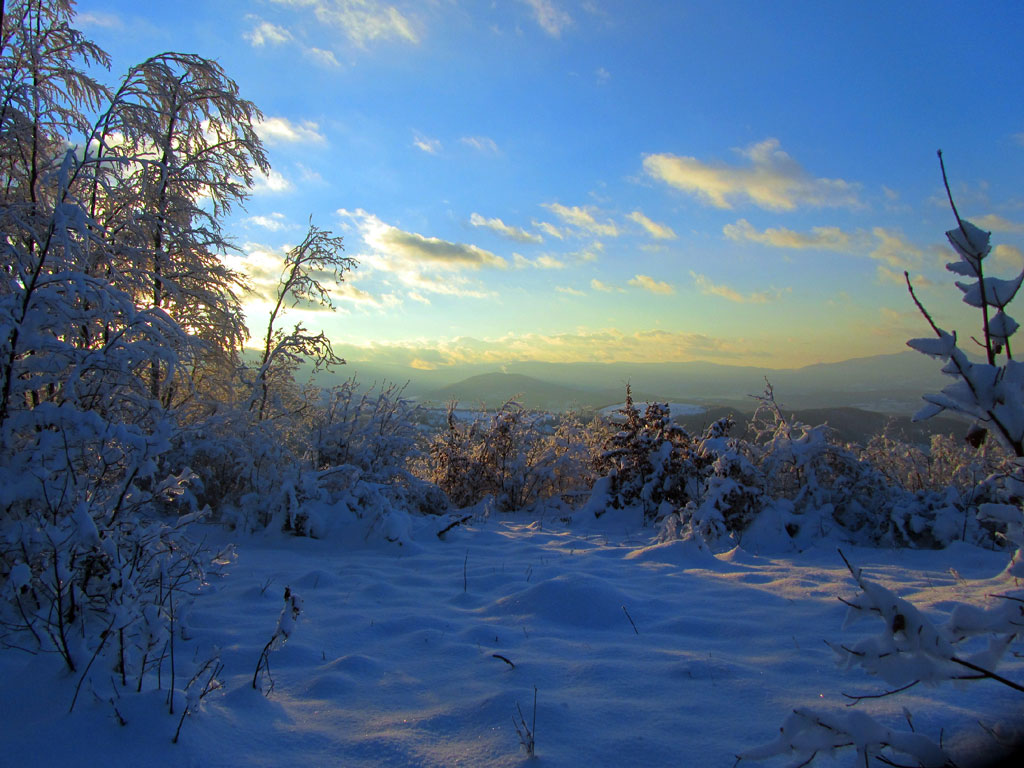 četvrtak, 10. januar 2013. / Svjetlana Elez - Ribnik