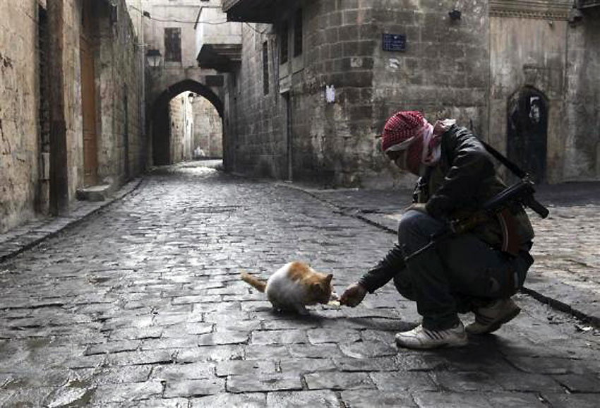 Sirijski borac za slobodu hrani mačku u starom gradu Alepu...