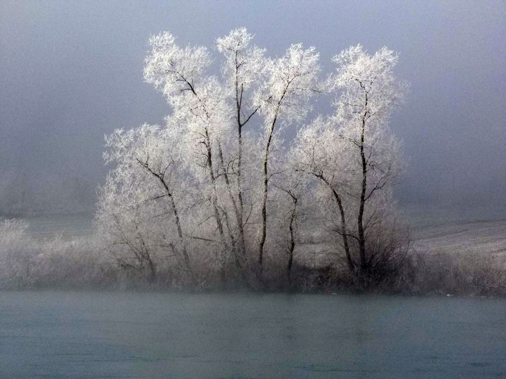 ponedjeljak 14. januar 2013. / Gorana Babić -  
Una kod Kostajnice