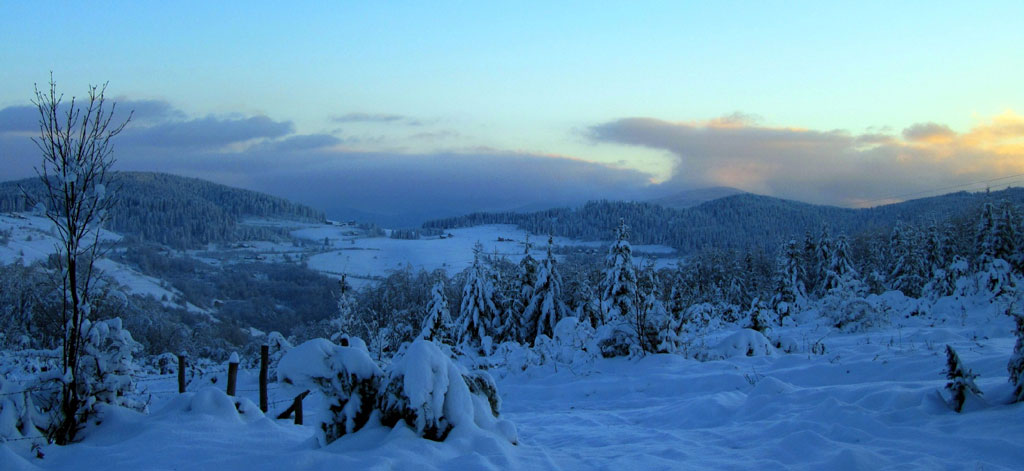 Ponedjeljak, 21. januar - Svjetlana Elez, Sitnica - Ribnik...