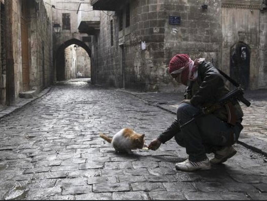 Sirijski vojnik hrani mačku