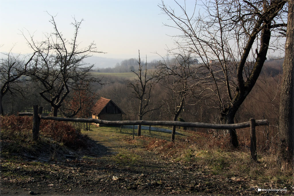 Srijeda, 23. januar - Veseljko Trnjanac - Stanari, Doboj...