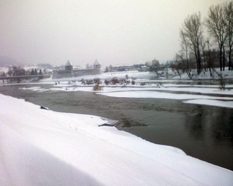 ponedjeljak 4. februar 2013. godine / Borka Јovanić, Kostajnica