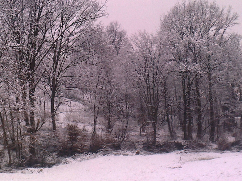 utorak, 5. februar 2013. godine / Rade Poporvić, Banjaluka