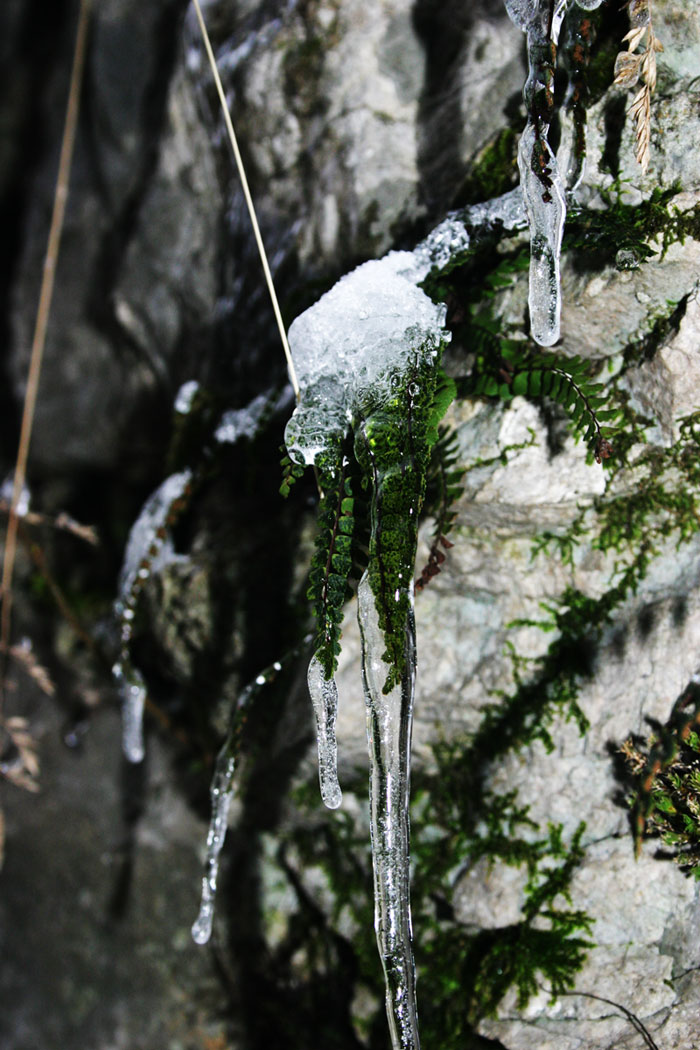 ponedjeljak, 11. februar 2013. / fotograf: Filip Petrić, obrada: Neris Ramić