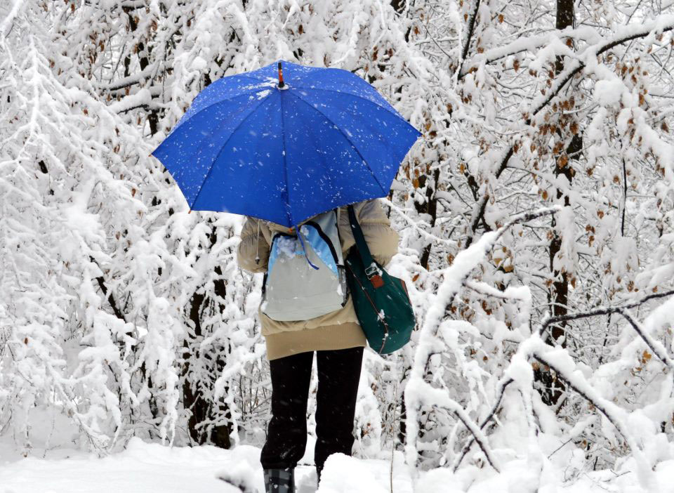 Ponedjeljak, 18. februar 2013. / Slavica Stanković, Ostružnja G. Doboj