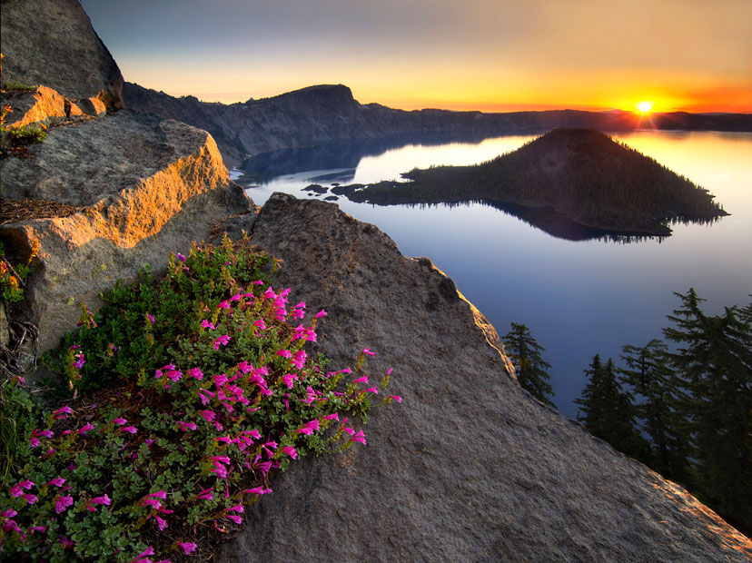 Cvijeće na stijeni, fotografija iz Nacionalnog parka u Oregonu.