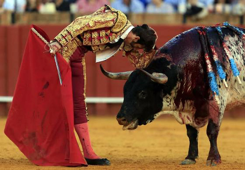 Matador Huan Hose Parilja se naslalja na bika tokom bitke u Sevilji...