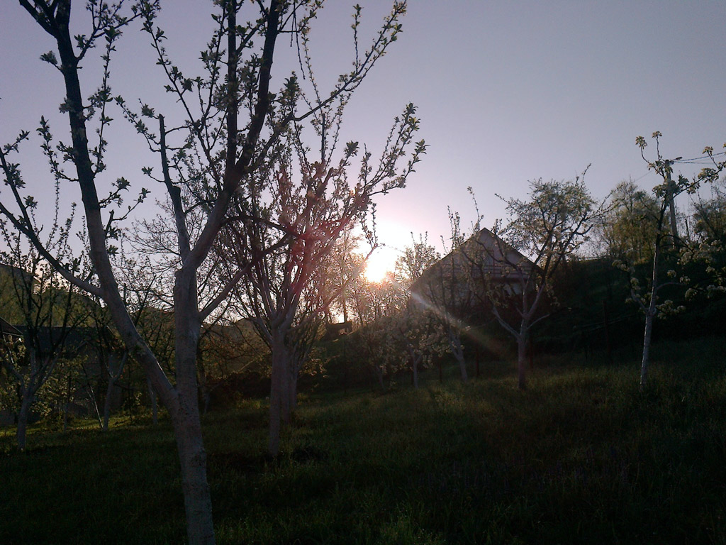 Četvrtak, 2. maj 2013. / Rade Popović, Banjaluka...