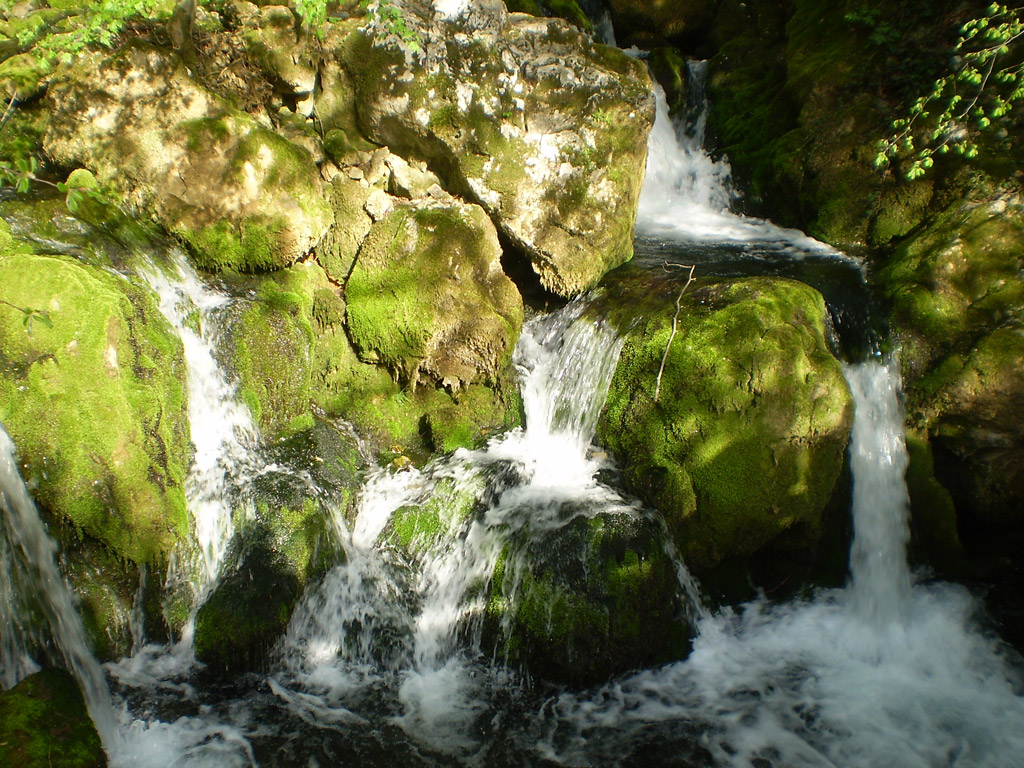 srijeda 8. maj 2013. / Želimir Petričević, Banjaluka