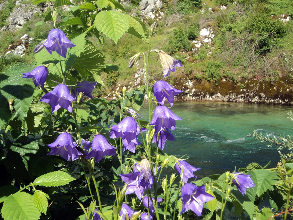 Utorak, 21.maj 2013. / Svjetlana Elez, Vrbljani, rijeka Sana...