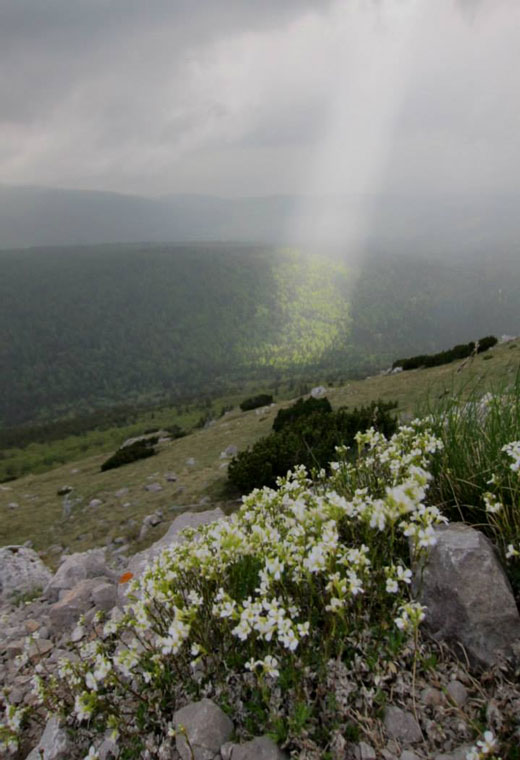 "Prirodni reflektor" na Klekovači