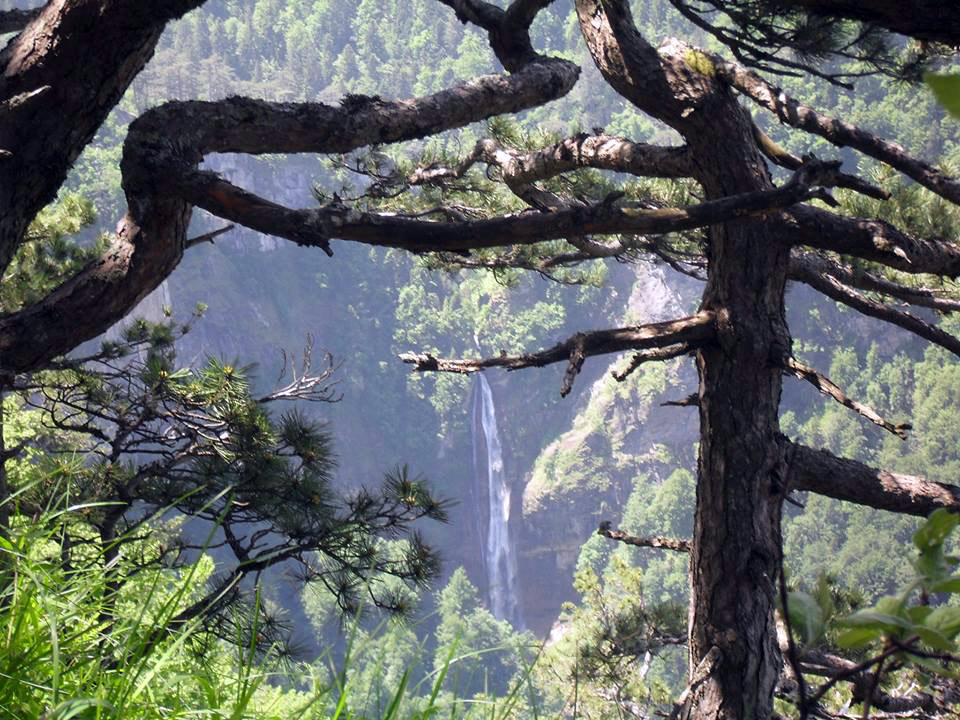 Utorak, 28.maj 2013. / Vojislav Vladičić, Foča - vodopad Skakavac u prašumi Perućica, Nacionalni park Sutjeska...