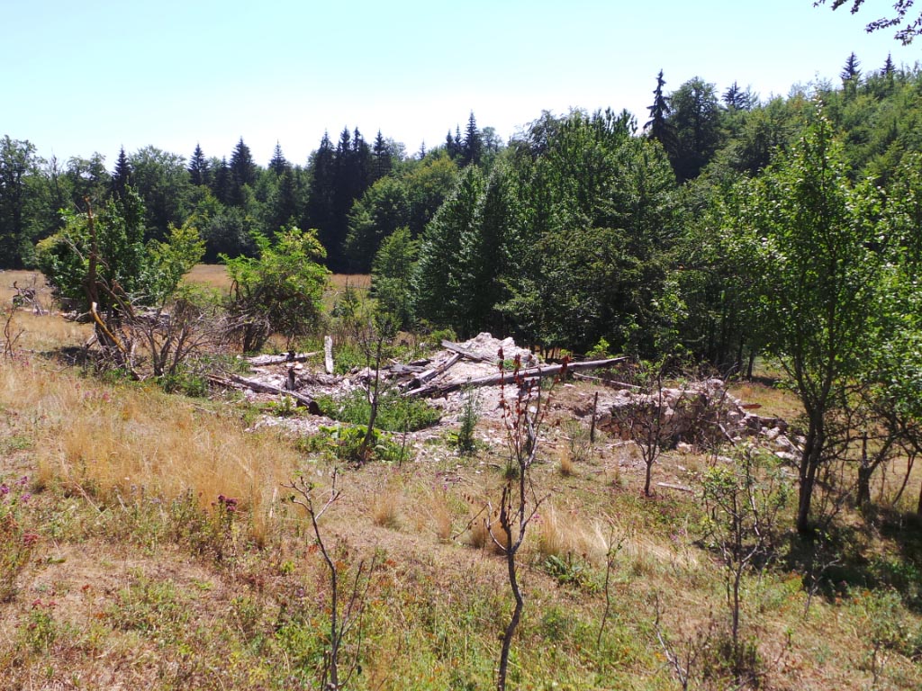 Kupreška visoravan – Obronci Stožera i Crnog Vrha (foto: Predrag Bratić)