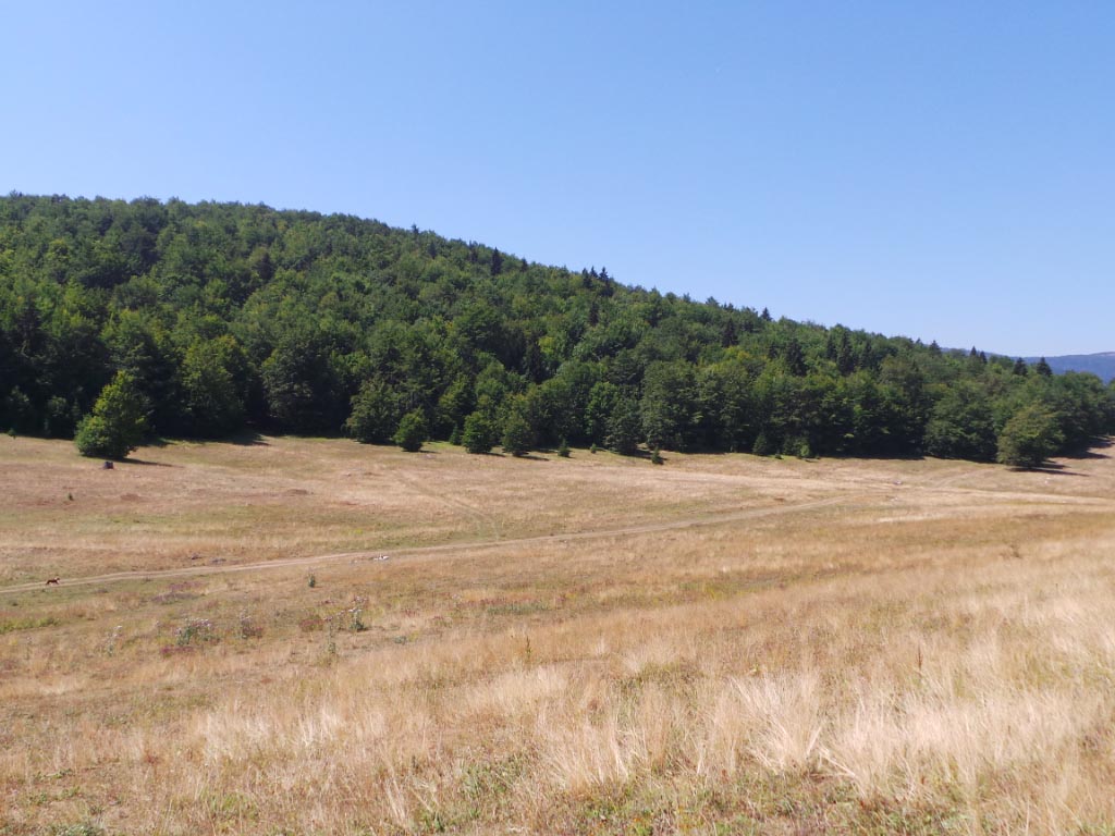 Kupreška visoravan – Obronci Stožera i Crnog Vrha (foto: Predrag Bratić)