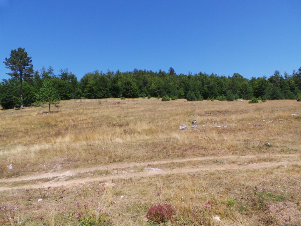 Kupreška visoravan – Obronci Stožera i Crnog Vrha (foto: Predrag Bratić)