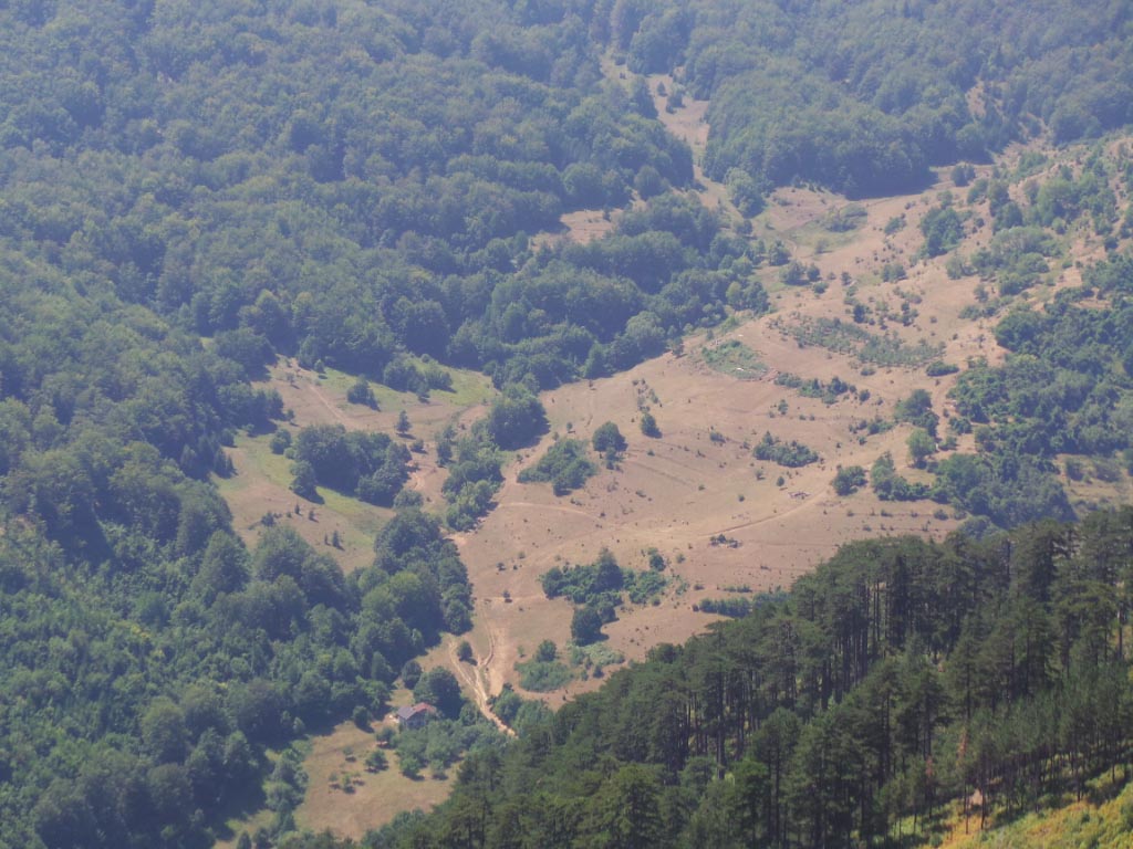 Kupreška visoravan – Obronci Stožera i Crnog Vrha (foto: Predrag Bratić)