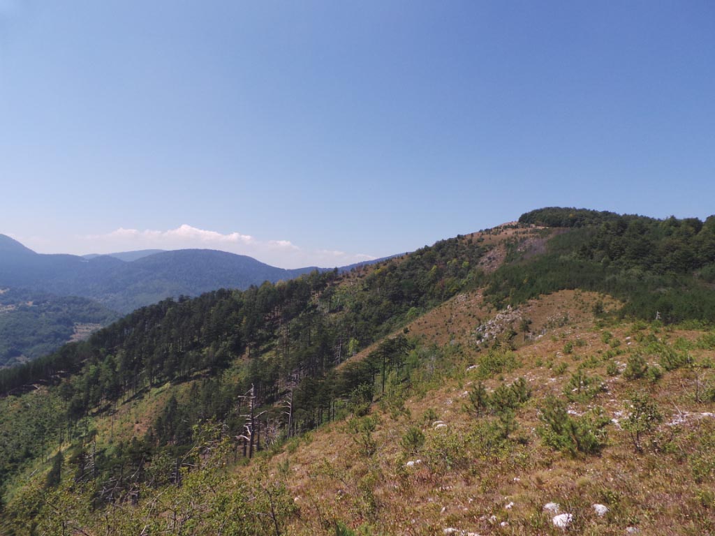 Kupreška visoravan – Obronci Stožera i Crnog Vrha (foto: Predrag Bratić)