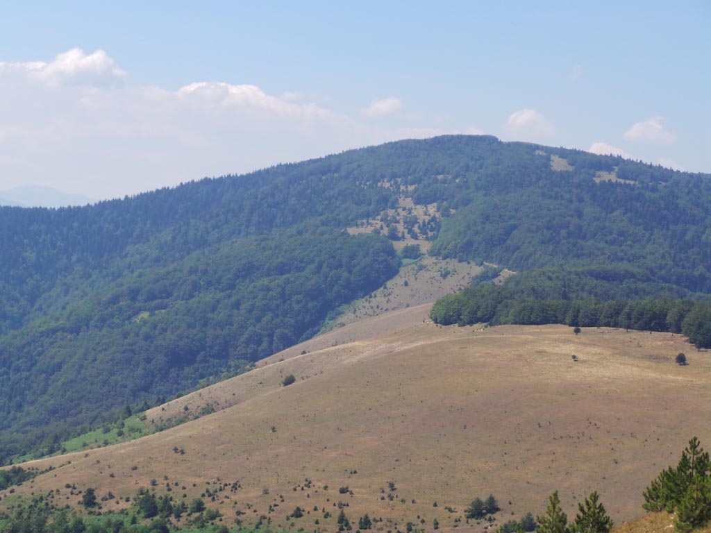 Kupreška visoravan – Obronci Stožera i Crnog Vrha (foto: Predrag Bratić)