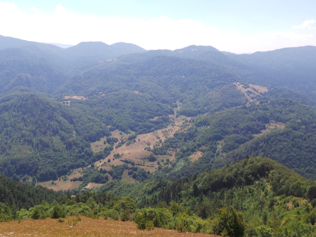 Kupreška visoravan – Obronci Stožera i Crnog Vrha (foto: Predrag Bratić)