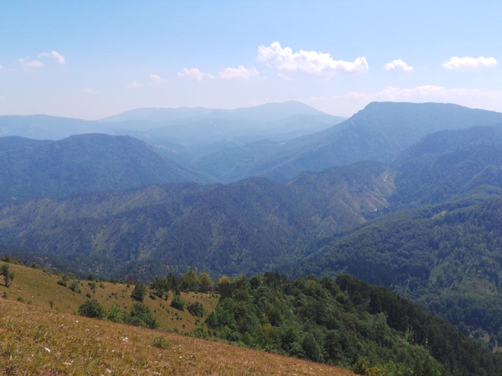 Kupreška visoravan – Obronci Stožera i Crnog Vrha (foto: Predrag Bratić)