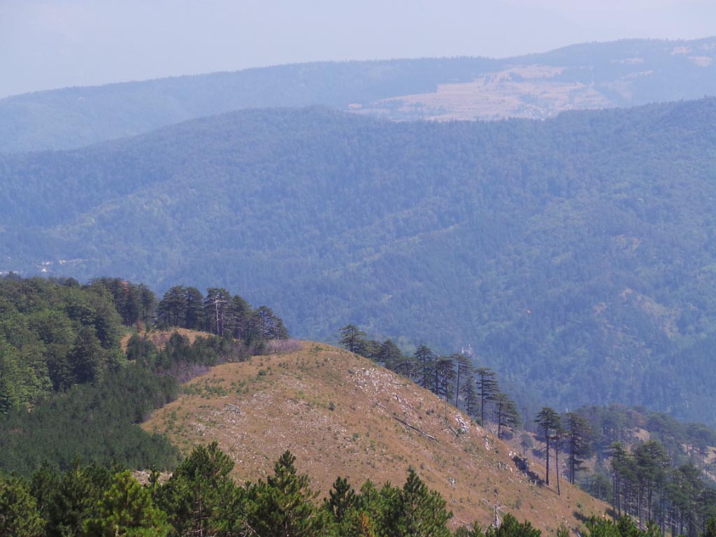 Kupreška visoravan – Obronci Stožera i Crnog Vrha (foto: Predrag Bratić)