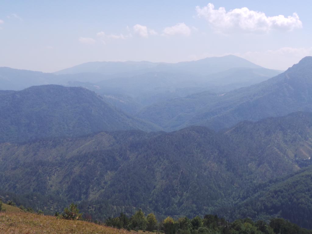 Kupreška visoravan – Obronci Stožera i Crnog Vrha  (foto: Predrag Bratić)