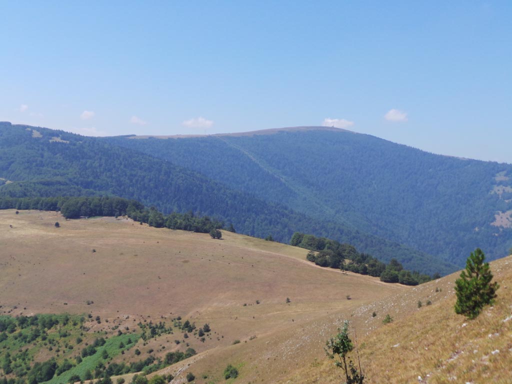 Kupreška visoravan – Obronci Stožera i Crnog Vrha (foto: Predrag Bratić)