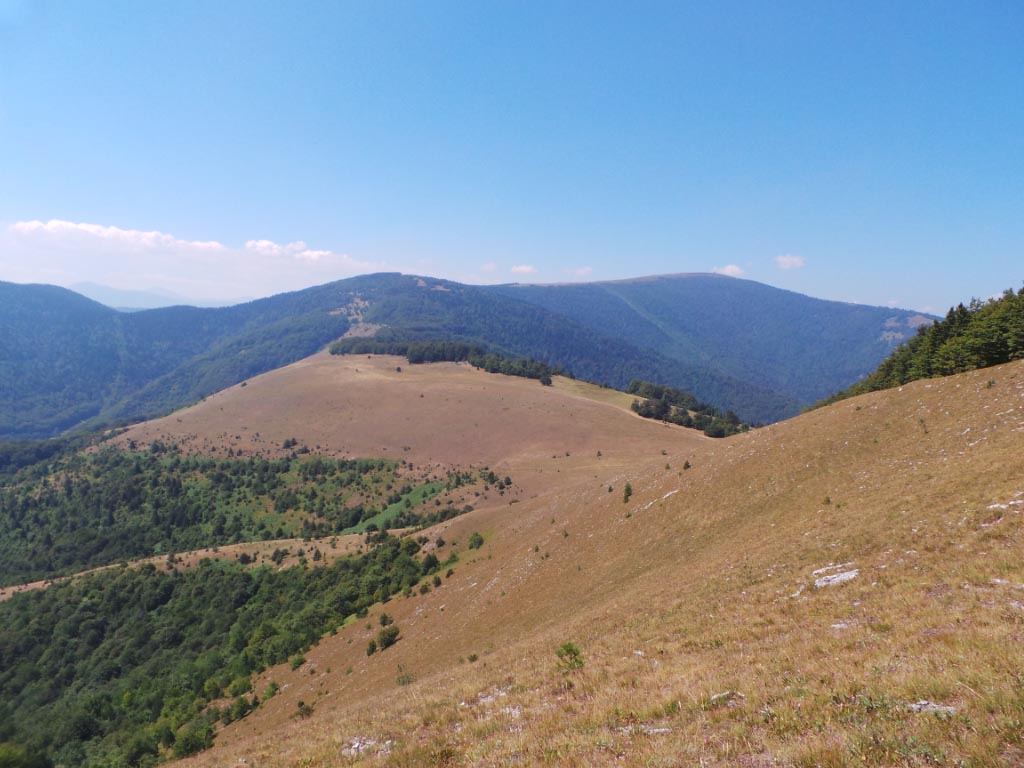 Kupreška visoravan – Obronci Stožera i Crnog Vrha (foto: Predrag Bratić)