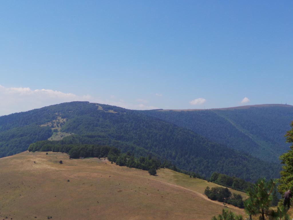 Kupreška visoravan – Obronci Stožera i Crnog Vrha  (foto: Predrag Bratić)