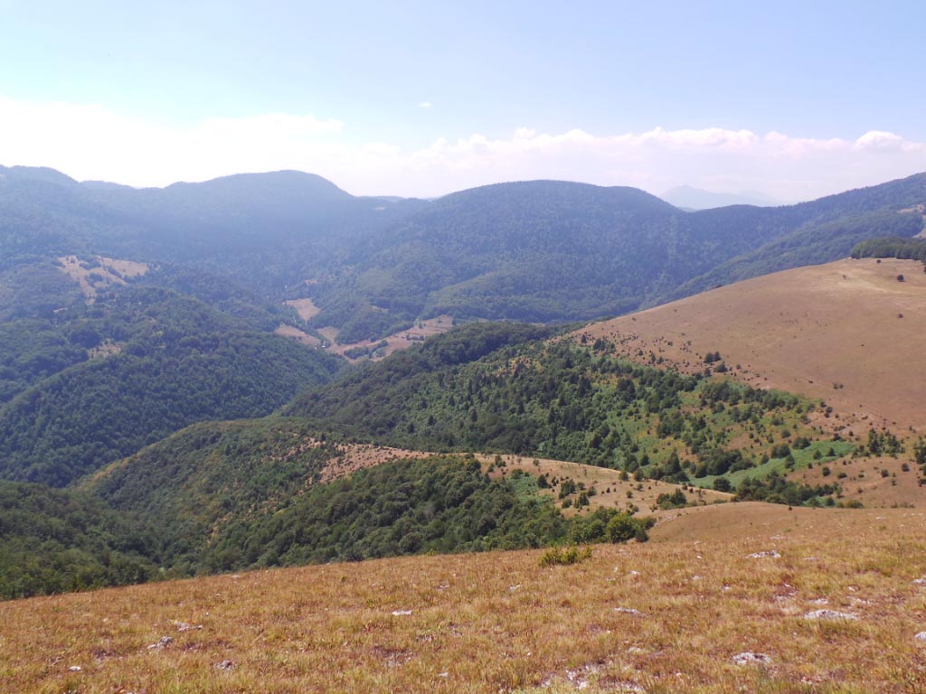 Kupreška visoravan – Obronci Stožera i Crnog Vrha (foto: Predrag Bratić)