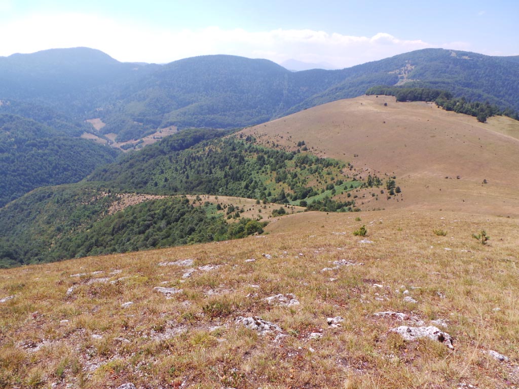 Kupreška visoravan – Obronci Stožera i Crnog Vrha  (foto: Predrag Bratić)