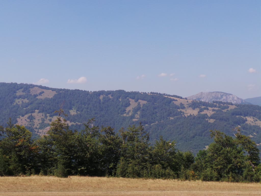 Kupreška visoravan – Obronci Stožera i Crnog Vrha  (foto: Predrag Bratić)