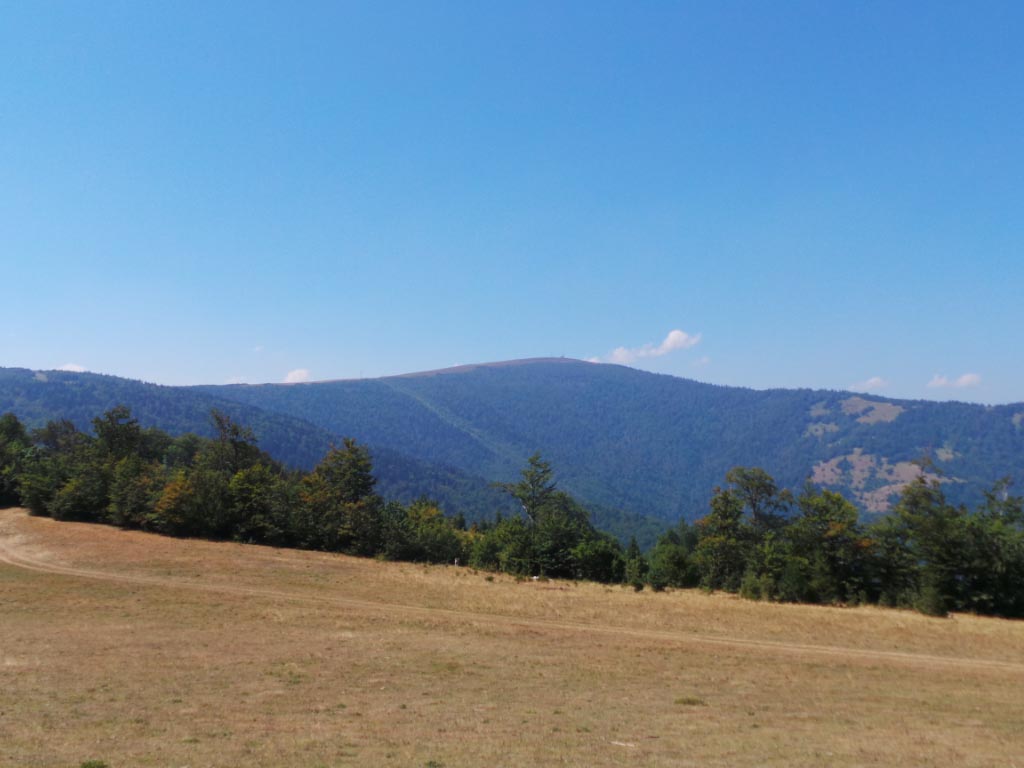 Kupreška visoravan – Obronci Stožera i Crnog Vrha (foto: Predrag Bratić)